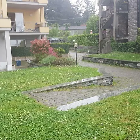 Girasole * ליירנה