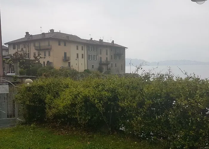 Girasole * ליירנה